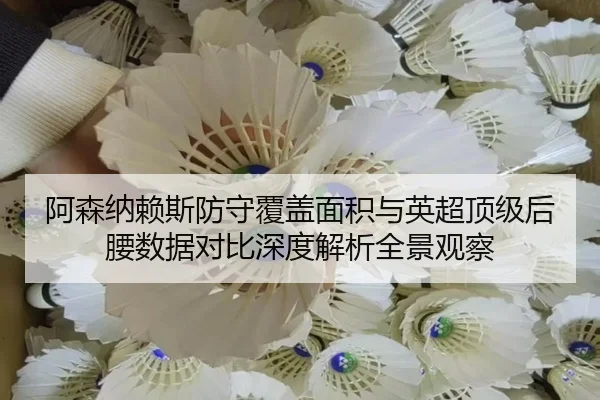 阿森纳赖斯防守覆盖面积与英超顶级后腰数据对比深度解析全景观察